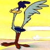   Road Runner